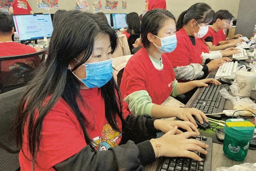 双十一 洛科电商 洛科 电子商务 双十一 洛科电商 洛科 电子商务