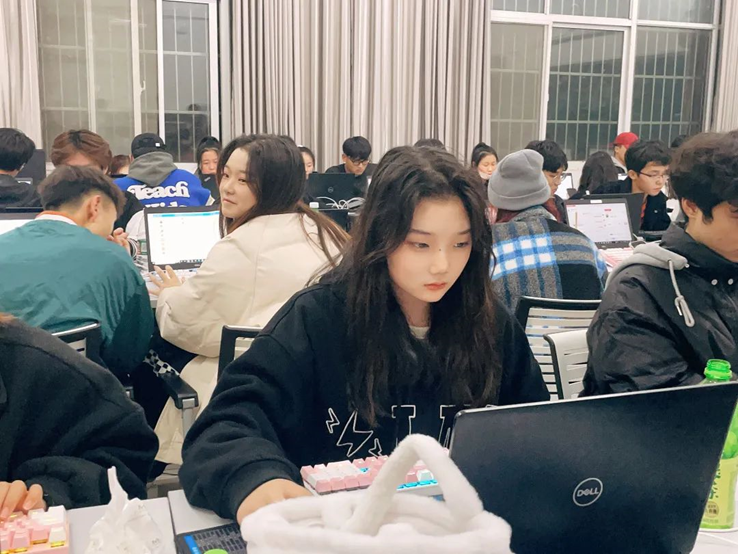 双十一 洛科电商 洛科 电子商务 双十一 洛科电商 洛科 电子商务