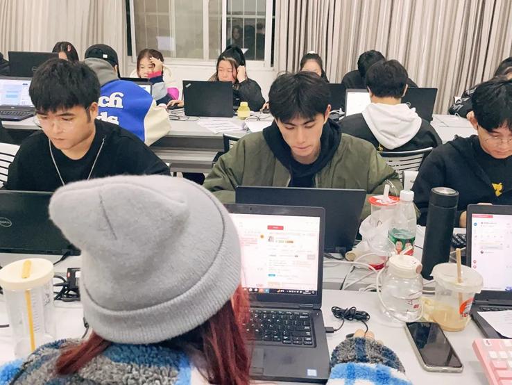 双十一 洛科电商 洛科 电子商务 双十一 洛科电商 洛科 电子商务