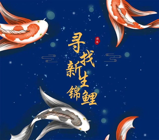 寻找洛科新生锦鲤 寻找洛科新生锦鲤